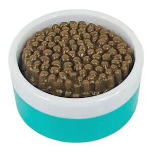 American Girl DOG FOOD DISH Pet Spa & Daycare 2pc Water Bowl Treat Accessories